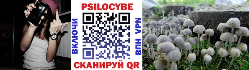 Псилоцибиновые грибы MAGIC MUSHROOMS Нефтекумск