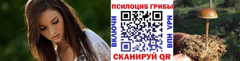 Купить закладки  Нефтекумск  Галлюциногенные грибы Psilocybe 